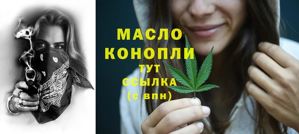 МДПВ Каменногорск