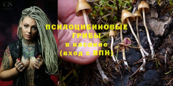mdma Каменск-Шахтинский