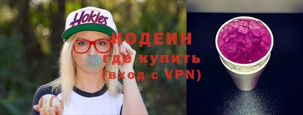 МДПВ Каменногорск
