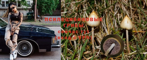 МДПВ Каменногорск