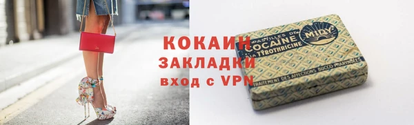 МДПВ Каменногорск
