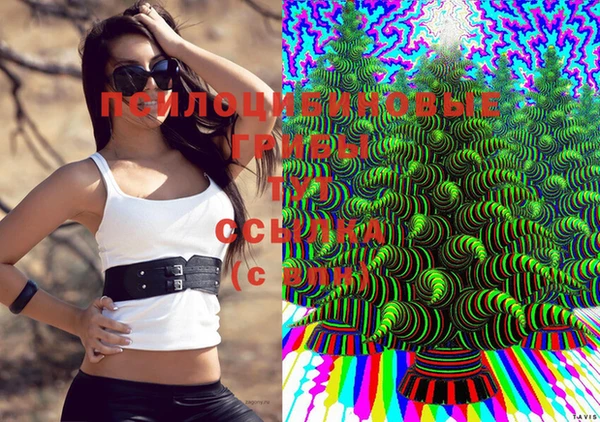 МДПВ Каменногорск