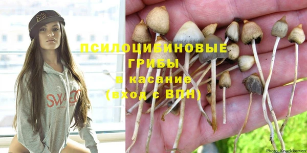 mdma Каменск-Шахтинский