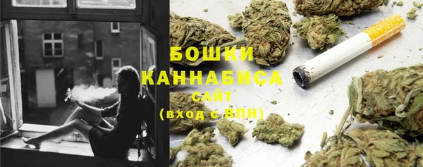 МДПВ Каменногорск